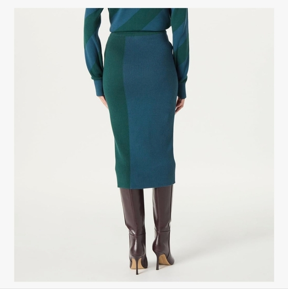 The Drop Knit Midi Skirt NWT L Sweater Color Block Fitted - Picture 2 of 8